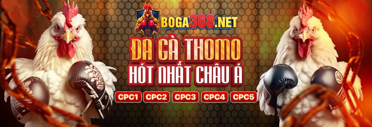 bong789 Login 2026: Đá Gà Trực Tuyến Uy Tín, Thưởng Lớn